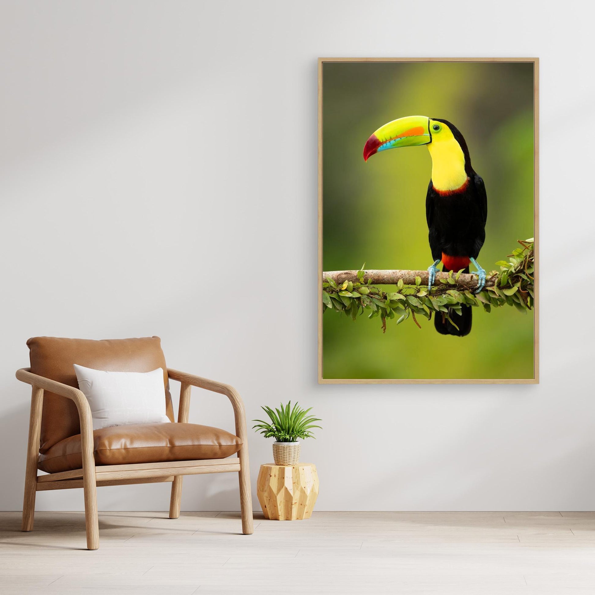 Keel-billed toucan by Milan Zygmunt