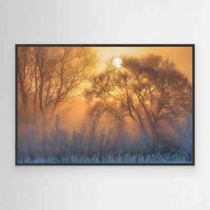 warm and cold by Keller