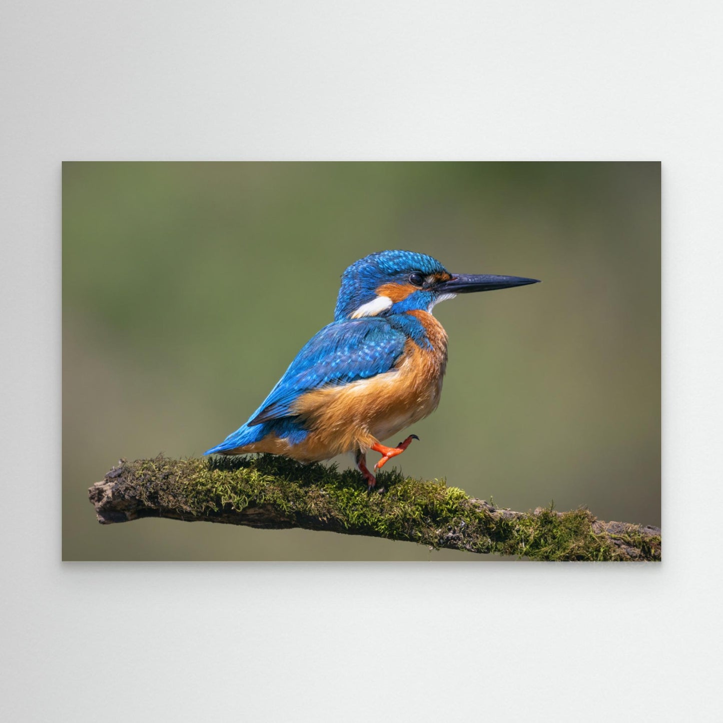 Left, right, left, right ... by Tony Goran