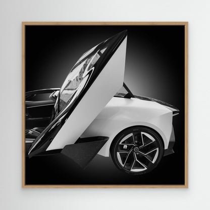 LoTuS by Konglingming