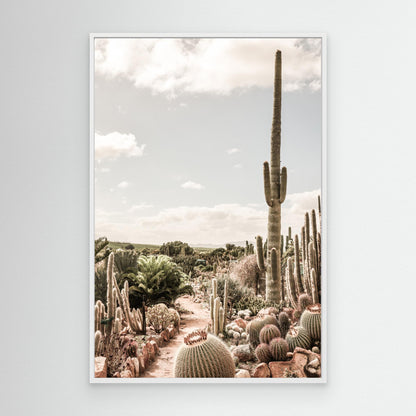 Cactus Farm by Shot By Clint
