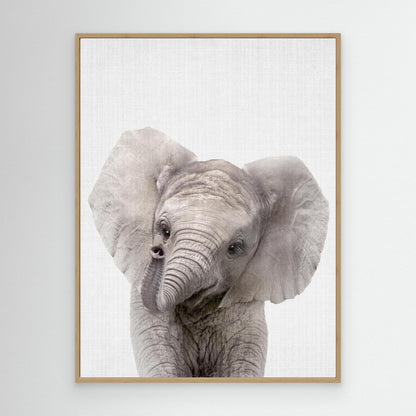 Peekaboo Baby Elephant by Lola Peacock