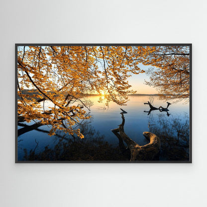 Autumn Morning by Keller
