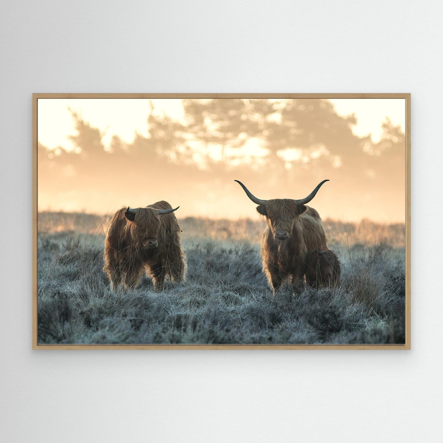 Three Highlanders by Jaap Van Den Helm