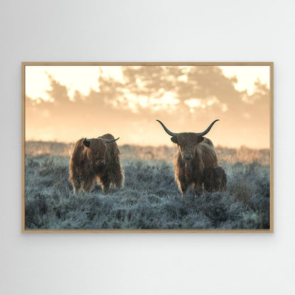 Three Highlanders by Jaap Van Den Helm