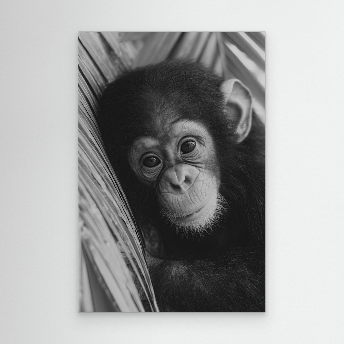 Young chimpanzee by Treechild
