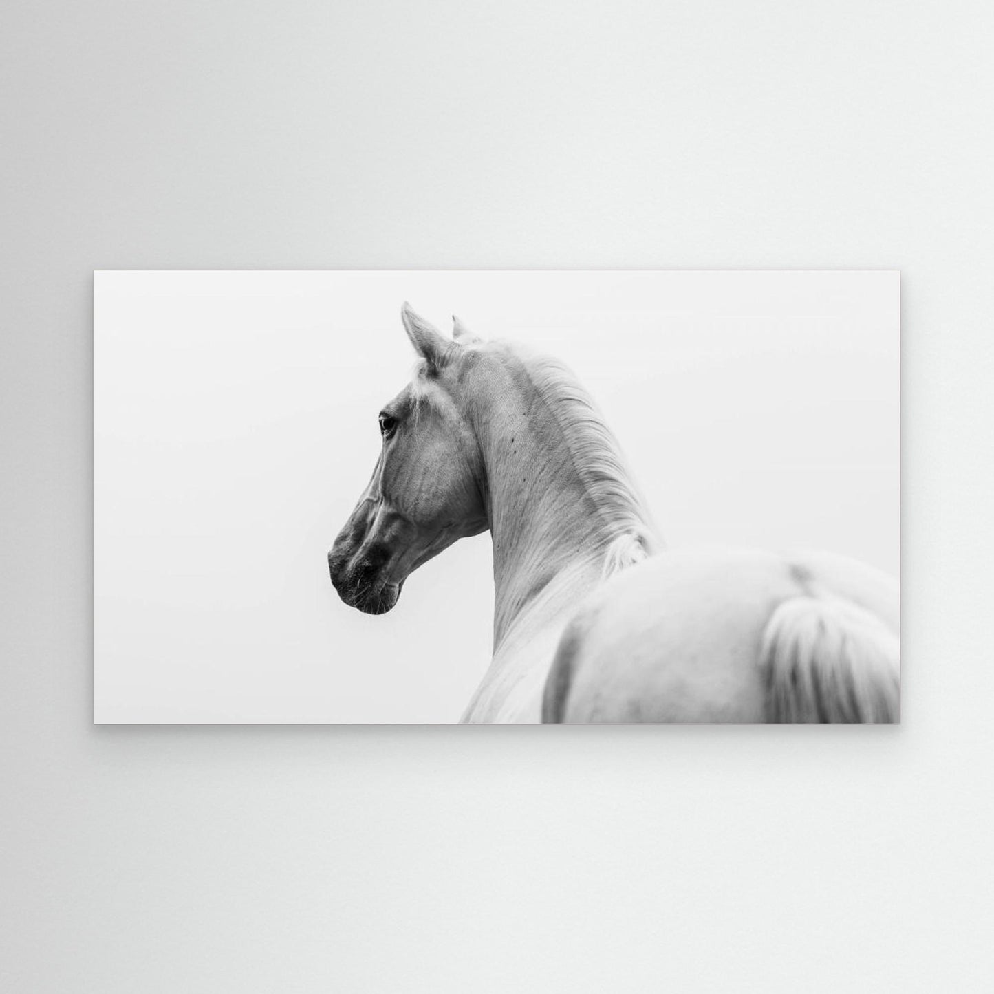 a short story about a shorn horse by Cembrzynski Ignacy