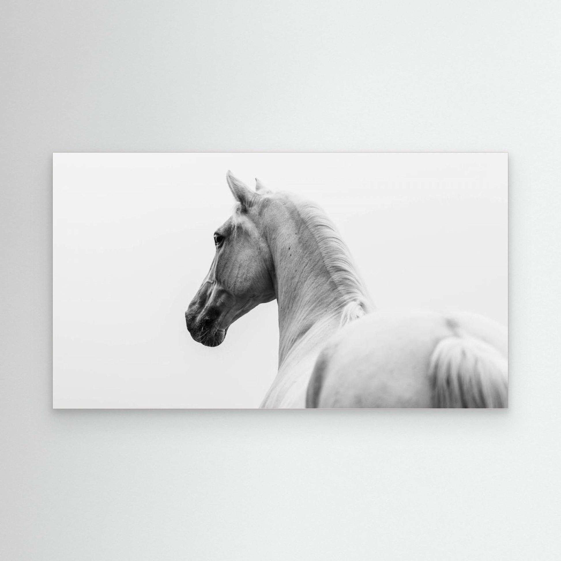 a short story about a shorn horse by Cembrzynski Ignacy