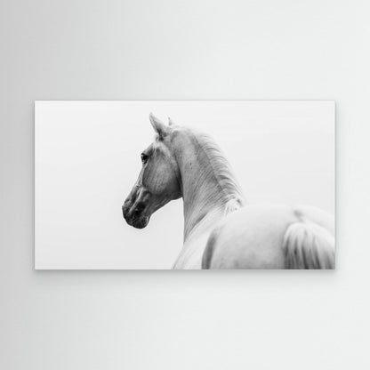 a short story about a shorn horse by Cembrzynski Ignacy