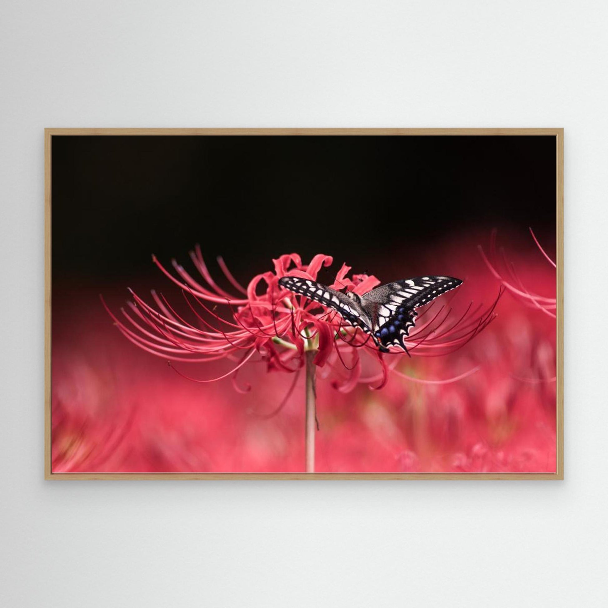 Perches gracefully by Takashi Suzuki